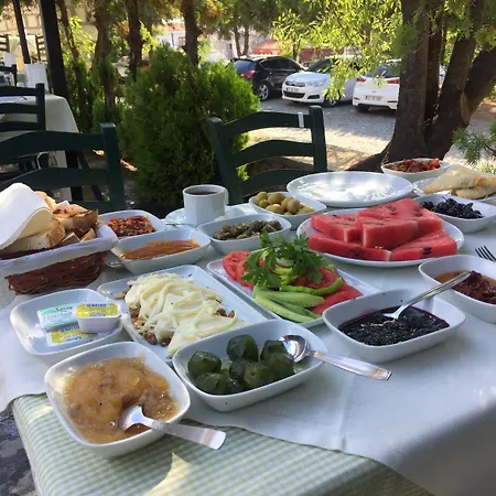 Denizyildizi