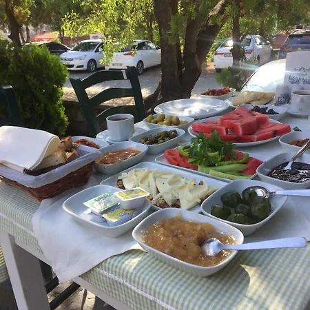 Denizyildizi