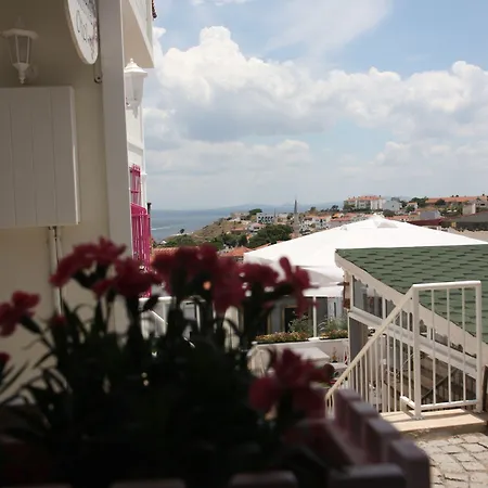 Denizyildizi